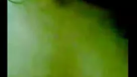 非洲種植在屁股白小雞