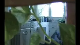 頑皮的寶貝在外面剝離，並在草叢中裸體