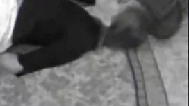 魅力女同性戀者從牆上的洞裡吮吸假陽具並舔他們的帽子