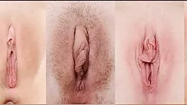 蕩婦的貓棲息在女同性戀的臉上