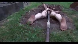 著名電視劇Mork和Mindy的色情模仿